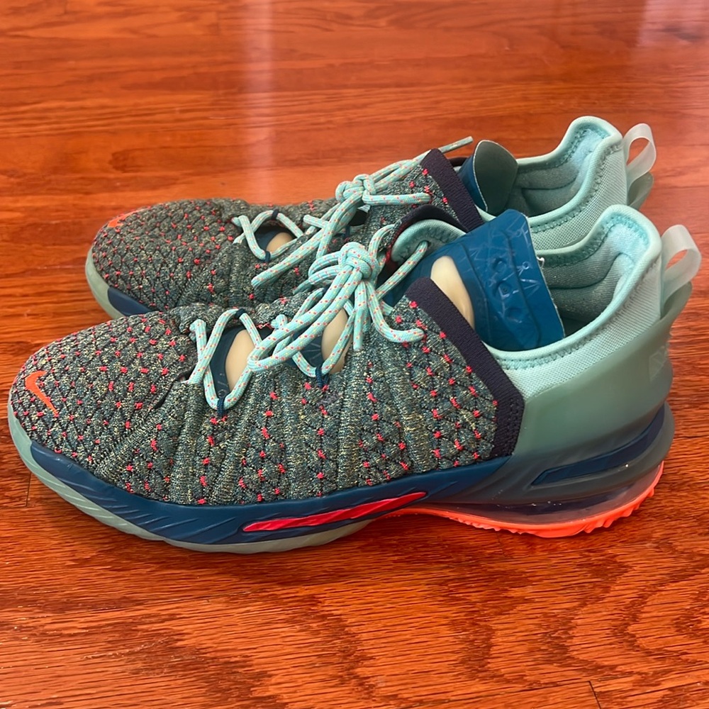 Nike LeBron Basketball Shoes